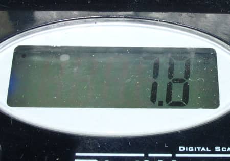 Galina Wedding Ring Set 15687 - Image 11