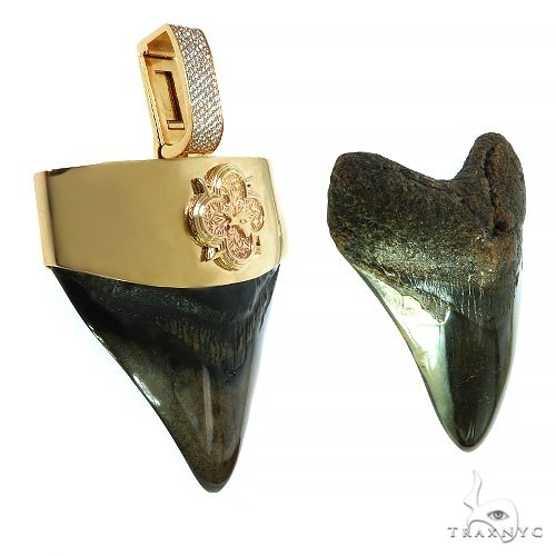 The Time Travel Megalodon Shark Tooth Pendant 68200 - Image 3