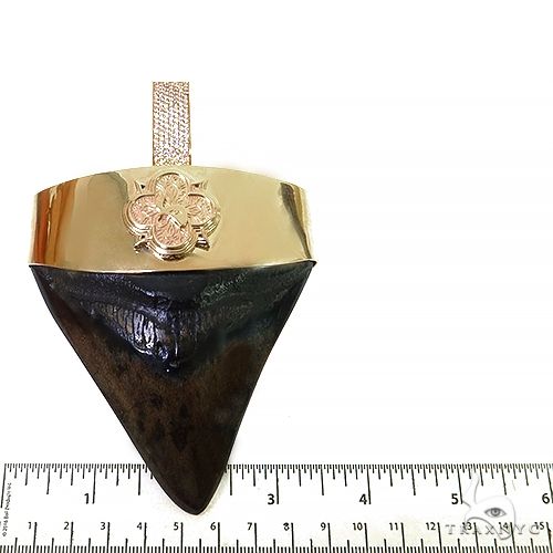 The Time Travel Megalodon Shark Tooth Pendant 68200 - Image 6