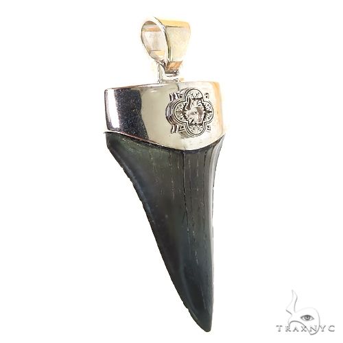 The Time Travel Megalodon Shark Tooth Pendant Small 68892 - Image 2