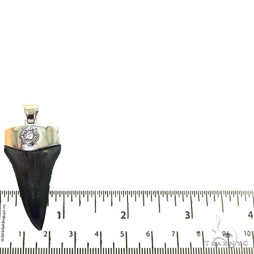 The Time Travel Megalodon Shark Tooth Pendant Small 68892 - Image 4