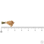 Bud #1 70628 - Image 8