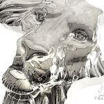 .925 Silver Medium African Lion Face Pendant 66467 66468 - Image 4